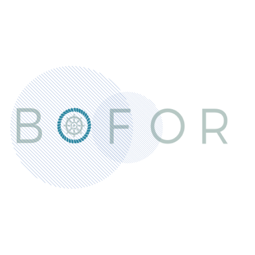 Navis digital izrada loga - Bofor boat